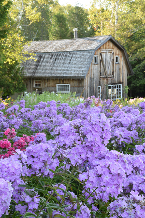 Freeman's Barn, Flowers