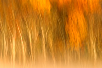 East Fork Fall Abstract 2