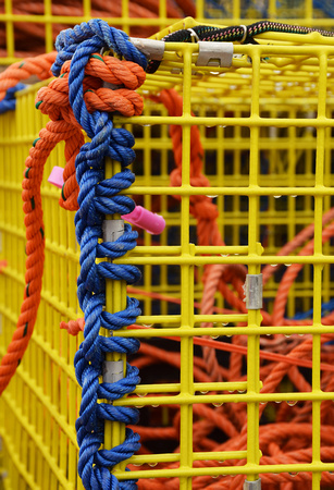 Yellow Lobster Traps, CAN